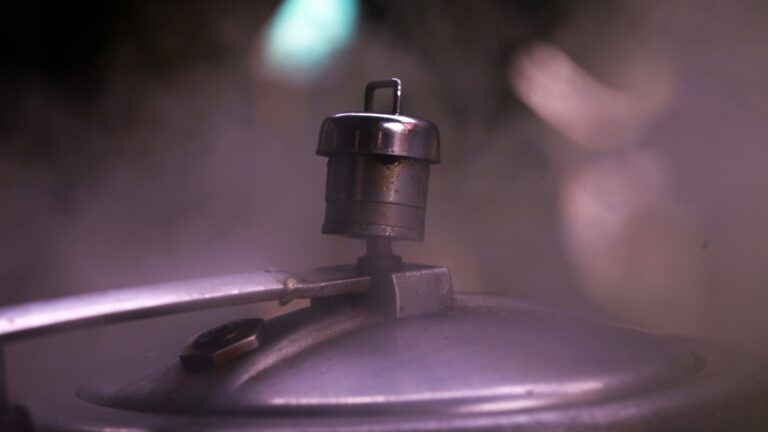 pressure cooker buying guide